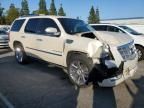 2008 Cadillac Escalade Luxury