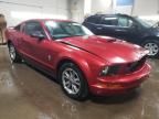 2005 Ford Mustang