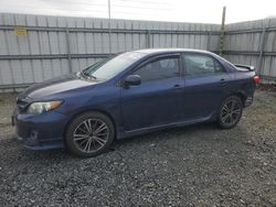 Salvage cars for sale at Arlington, WA auction: 2013 Toyota Corolla Base