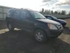 2004 Honda CR-V EX