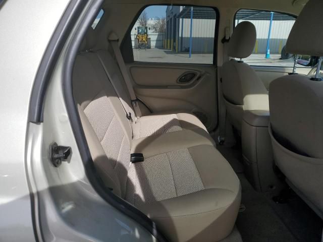 2006 Ford Escape XLT