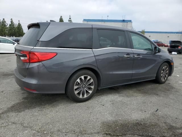 2023 Honda Odyssey EXL