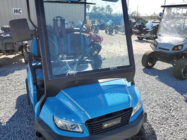 2022 Golf Cart Bintelli