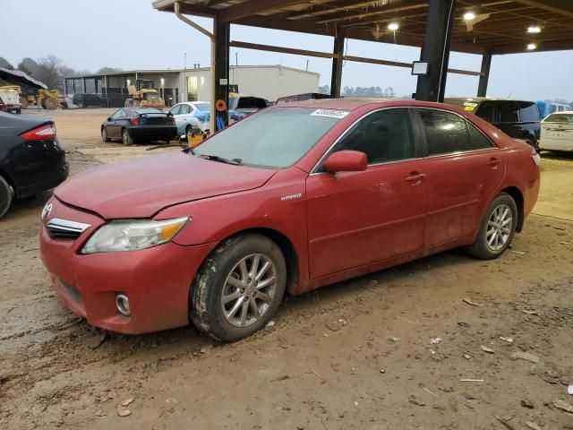 2010 Toyota Camry Hybrid