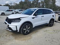 Salvage cars for sale at Ocala, FL auction: 2022 KIA Sorento S