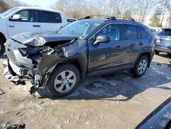 Toyota salvage cars for sale: 2021 Toyota Rav4 LE