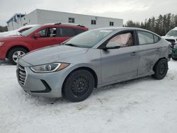 2017 Hyundai Elantra SE en venta en Cookstown, ON