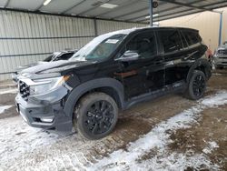 Salvage cars for sale at Brighton, CO auction: 2022 Honda Passport EXL