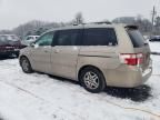 2005 Honda Odyssey EXL