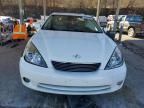 2006 Lexus ES 330