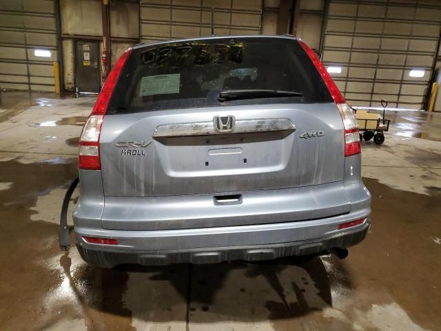 2010 Honda CR-V EXL