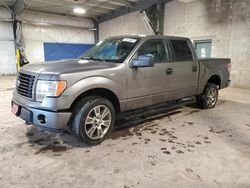 Salvage cars for sale at Chalfont, PA auction: 2014 Ford F150 Supercrew