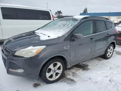 Salvage cars for sale at Woodhaven, MI auction: 2016 Ford Escape SE