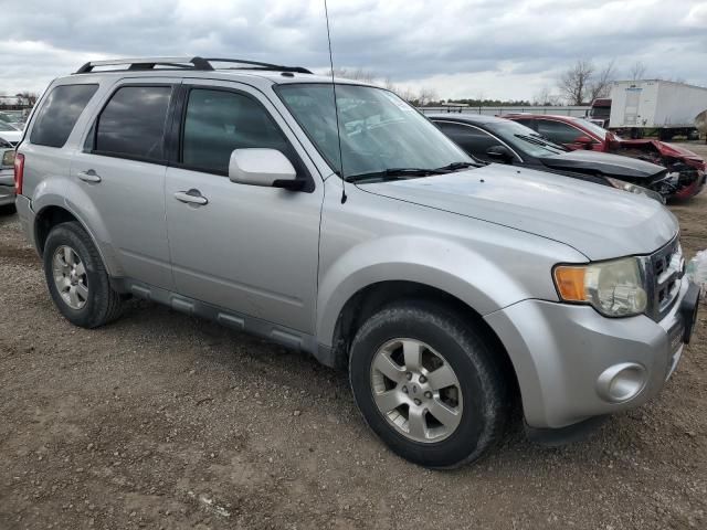 2012 Ford Escape Limited