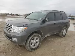 SUV salvage a la venta en subasta: 2008 Toyota Land Cruiser