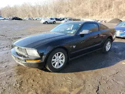 Salvage cars for sale at Marlboro, NY auction: 2009 Ford Mustang