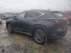 2025 Lexus NX 350 Base