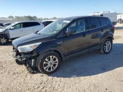 Salvage cars for sale at Harleyville, SC auction: 2019 Ford Escape SE