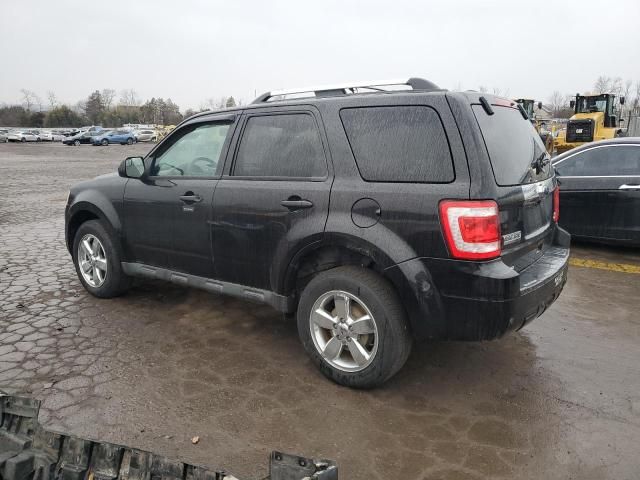 2011 Ford Escape Limited