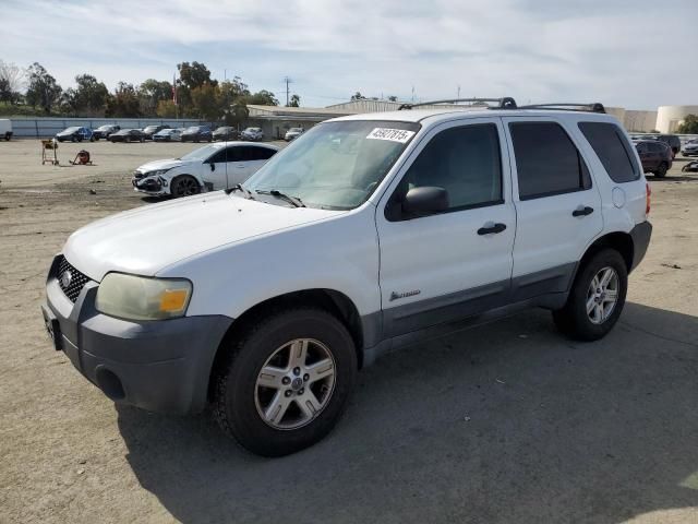 2006 Ford Escape HEV