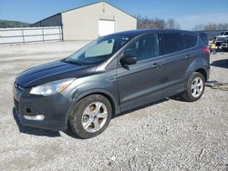 Salvage cars for sale from Copart Lawrenceburg, KY: 2016 Ford Escape SE