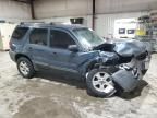 2005 Ford Escape XLT