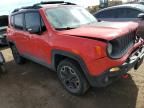 2017 Jeep Renegade Trailhawk