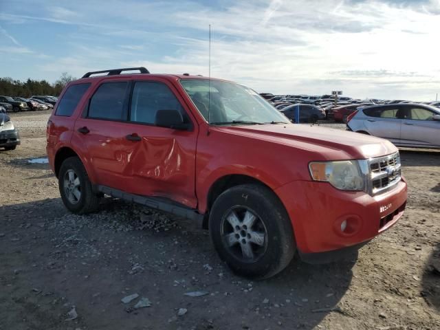 2009 Ford Escape XLT