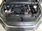 2024 Lexus TX 350 Base