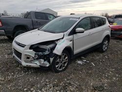 Salvage cars for sale at Cicero, IN auction: 2013 Ford Escape SEL