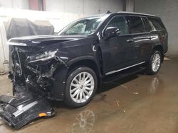 Salvage SUVs for sale at auction: 2023 Cadillac Escalade Premium Luxury