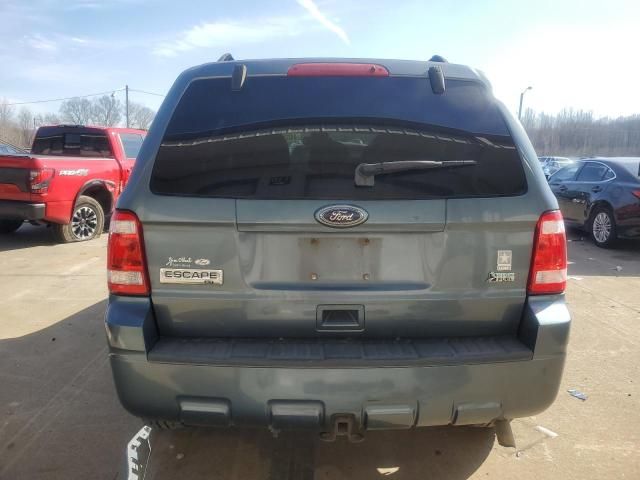 2010 Ford Escape XLT