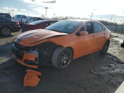 Salvage cars for sale at Indianapolis, IN auction: 2013 Dodge Dart SXT