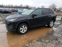 Salvage cars for sale at Hillsborough, NJ auction: 2021 Toyota Rav4 LE