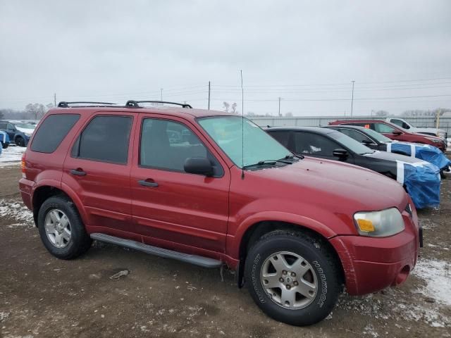 2007 Ford Escape XLT