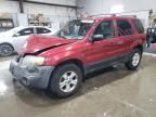 2005 Ford Escape XLT