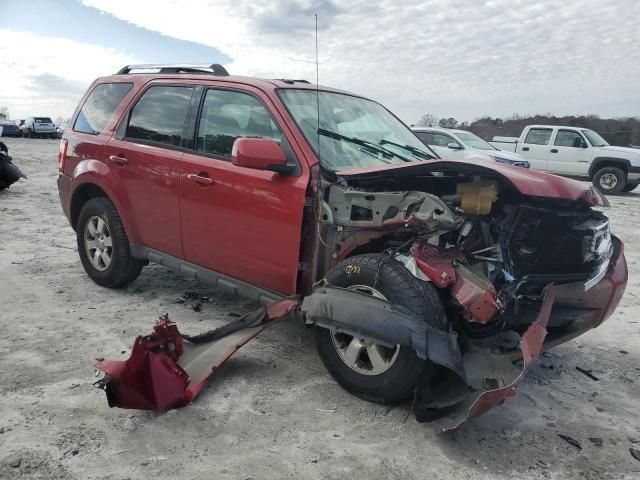 2009 Ford Escape Limited