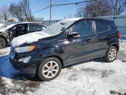 Salvage cars for sale at Moraine, OH auction: 2019 Ford Ecosport SE