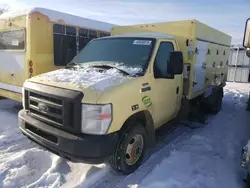 Salvage trucks for sale at Avon, MN auction: 2019 Ford Econoline E450 Super Duty Cutaway Van