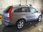 2010 Honda CR-V EXL