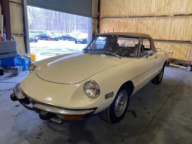 1973 Alfa Romeo Spider