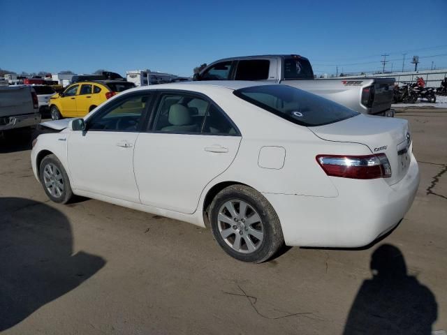 2009 Toyota Camry Hybrid