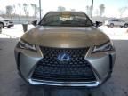 2020 Lexus UX 250H