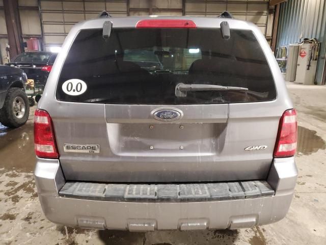 2008 Ford Escape XLT