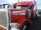 2023 Peterbilt 389 Truck Cab AND Chassis