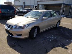 Salvage cars for sale at New Britain, CT auction: 2013 Honda Accord EXL