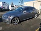 2013 Lexus IS 250