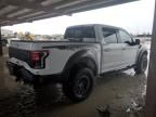 2020 Ford F150 Raptor