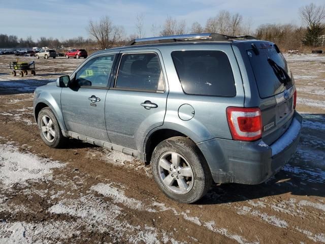 2011 Ford Escape Limited