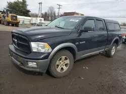 Clean Title Cars for sale at auction: 2010 Dodge RAM 1500